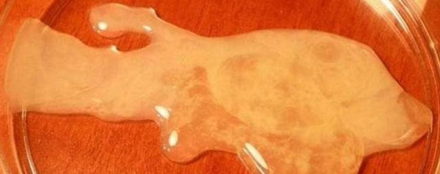 Plan Cul Dans Le Var Sexe Entre Mec Grosse bite mec gay rencontre gay 33